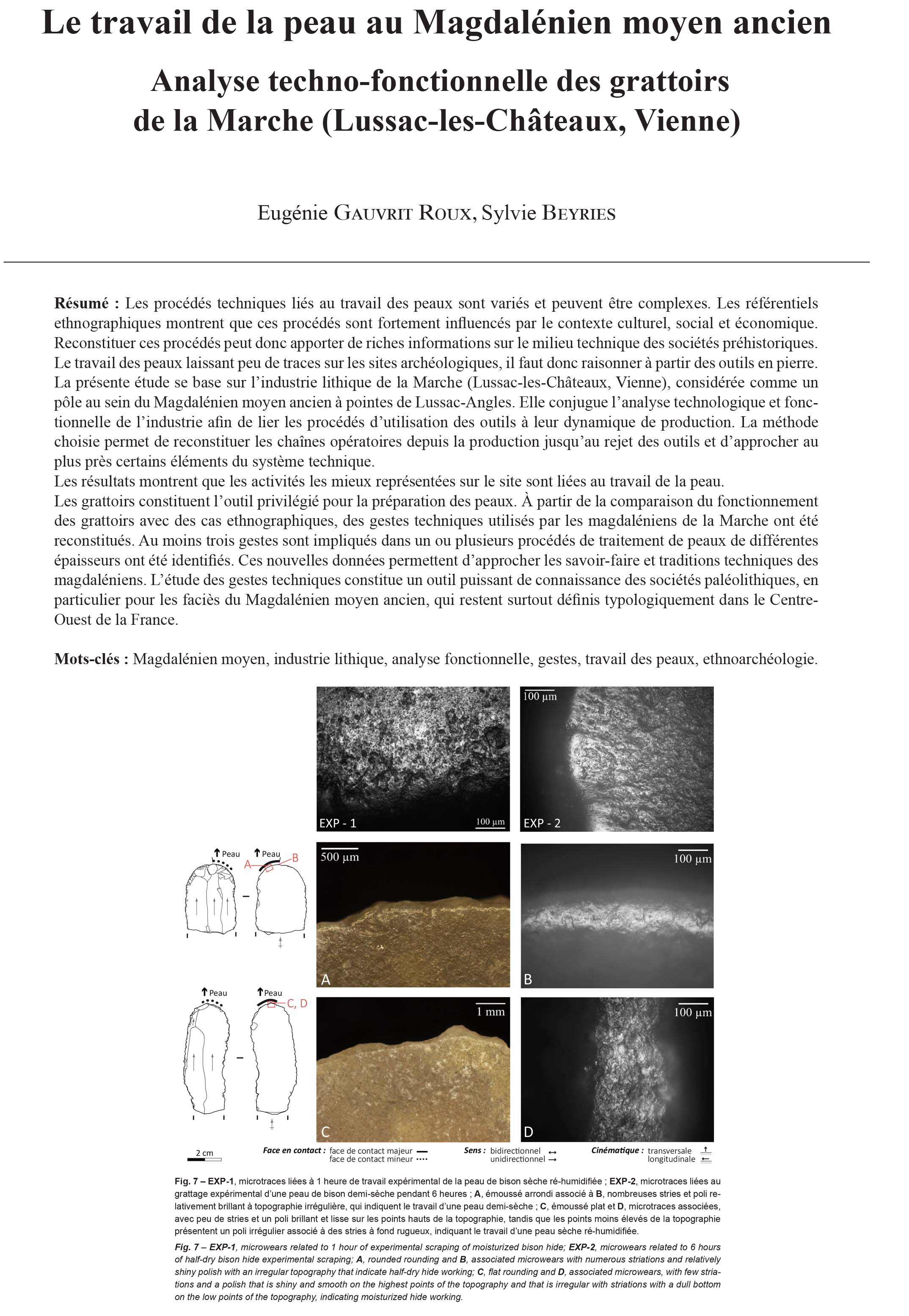 Armature De Peau Definition