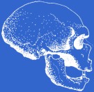 logo_paleoanthropology_society