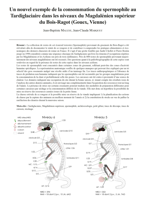 11-2025, tome 122, 3, p. 369-388 - Mallye J-B., Marquet J.-C. (2025)  Un nouvel exemple de la consommation du spermophile au Tardiglaciaire dans les niveaux du Magdalnien suprieur du Bois-Ragot (Gouex, Vienne)