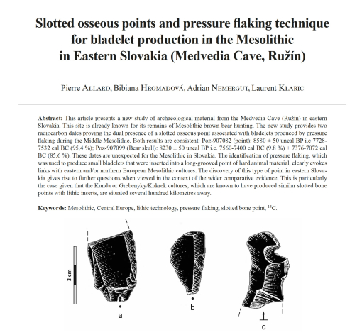 12-2025, tome 122, 3, p. 389-404 - Allard P., Hromadov B., Nemergut A., Klaric L. (2025)  Slotted osseous points and pressure flaking technique for bladelet production in the Mesolithic in Eastern Slovakia (Medvedia Cave, Run)