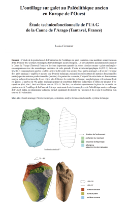 01-2022, tome 119, 1, p. 7-35 - Justin Guibert - L'outillage sur galet au Paléolithique ancien en Europe de l'Ouest : étude technicofonctionnelle de l'UA G de la Caune de l'Arago (Tautavel, France)