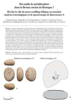 17-2021, tome 118, 4, p. 697-737 - C. HAMON, S. REGUER, V. BRISOTTO, C. LE CARLIER DE VESLUD, K. DONNART, S. BLANCHET, Y. PAILLER, Y. ESCATS, L. BELLOT-GURLET - Des outils de mtallurgistes dans le Bronze ancien de Bretagne ? Rvler l