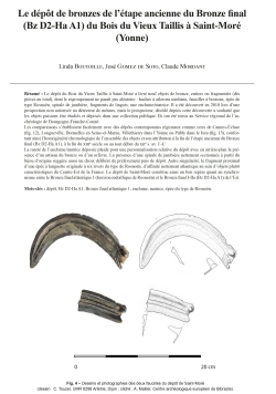 03-2026, tome 123, 1, p.55-72 - Boutoille L., Gomez de Soto J., Mordant C. (2026) � Le d�p�t de bronzes de l��tape ancienne du Bronze final (Bz D2-Ha A1) du Bois du Vieux Taillis � Saint-Mor� (Yonne)