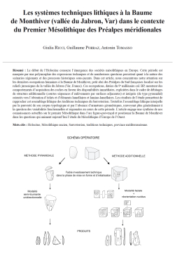 10-2021, tome 118, 3, p. 427-451 - G. Ricci, G. Porraz, A. Tomasso  Les systmes techniques lithiques  la Baume  de Monthiver (valle du Jabron, Var) dans le contexte du Premier Msolithique des Pralpes mridionales