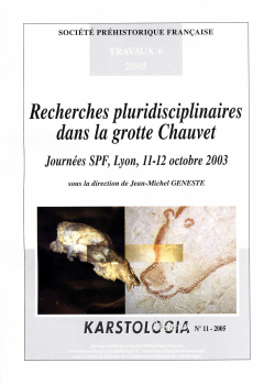 T06 - (2005) Recherches pluridisciplinaires dans la grotte Chauvet : journes SPF, Lyon, 11-12 octobre 2003 - J.-M. GENESTE dir.