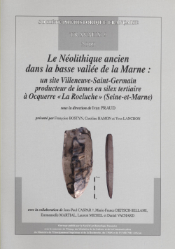 T09PDF (2009) - Le Nolithique ancien dans la basse valle de la Marne : un site Villeneuve-Saint-Germain producteur de lames en silex tertiaire  Ocquerre  la Rocluche  (Seine-et-Marne) - Y. PRAUD dir.