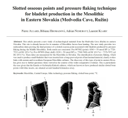 12-2025, tome 122, 3, p. 389-404 - Allard P., Hromadov B., Nemergut A., Klaric L. (2025)  Slotted osseous points and pressure flaking technique for bladelet production in the Mesolithic in Eastern Slovakia (Medvedia Cave, Run)