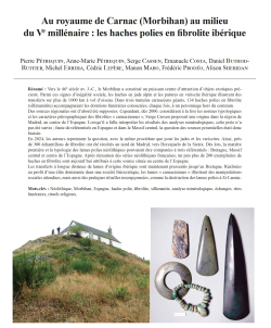 13-2025, tome 122, 3, p, 405-457 - Ptrequin P., Ptrequin A.-M., Cassen S., Costa E., Buthod-Ruffier D., Errera M., Lepre C., Mabo M., Prodo F., Sheridan A. (2025)  Au royaume de Carnac (Morbihan) au milieu du Ve millnaire : les haches polies en fibr