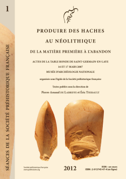 S1-13PDF - Les haches de pierre polie du Nolithique  dans le Languedoc, la zone nord-orientale des Pyrnes  et la marge sud-ouest du Massif central   Jean Vaquer, Christian Servelle et Franois Briois   avec la collaboration de Maxime Remicourt