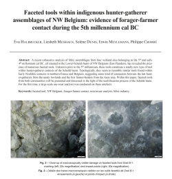 14-2022, tome 119, 4, p.605-633 - Halbrucker E., Messiaen L. Denis S., Meylemans E., Crombé P. (2022) – Faceted tools within indigenous hunter-gatherer assemblages of NW Belgium: evidence of forager-farmer contact during the 5th millennium cal BC