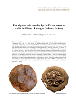 06-2019, tome 116, 1, p. 133-152 - Bernard Dedet, Loc Buffat, Magalie Kielb-Zaaraoui - Une spulture du premier ge du Fer en moyenne valle du Rhne : Lautagne (Valence, Drme)