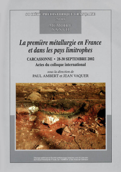 M37PDF - (2005) La premire mtallurgie en France et dans les pays limitrophes, M37