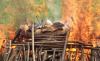 10th Experimental archaeology Conference