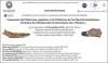 Squamates du Plistocne suprieur et de lHolocne de larchipel de Guadeloupe : volution de la biodiversit et interactions avec lHomme / Corentin Bochaton