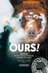 Espces d'ours !