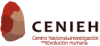 CENIEH : Postdoctoral senior & postdoctoral junior grants