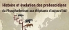Histoire et volution des proboscidiens, du <i>Phosphatherium</i> aux lphants d'aujourd'hui