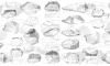 Lithic Types : stories of typologies in prehistoric archaeology