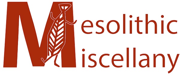 31st Annual Meeting of the Mesolithic Workgroup