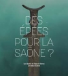 Des épées pour la Saône ? : Les dépôts de l’âge du Bronze en milieu humide / Sylvie Lourdaux-Jurietti & Gwenaelle Colas (2022)
