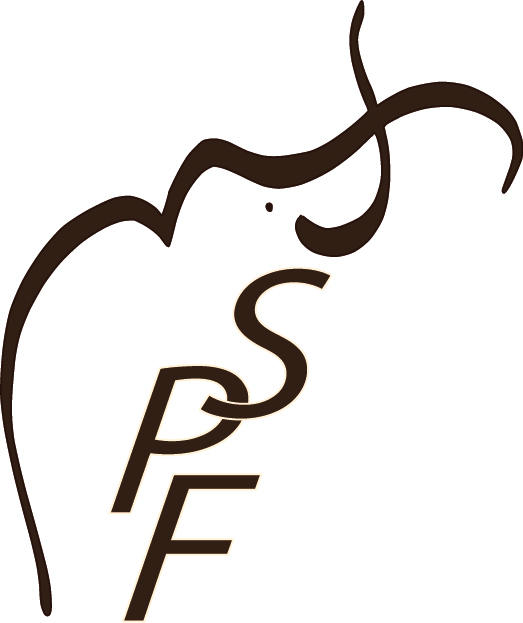 Assembl�e g�n�rale de la SPF et Rencontre annuelle de la Soci�t� pr�historique fran�aise 2027