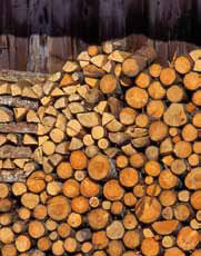 201450_Nice_bois
