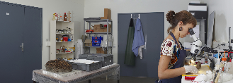 201509_paris_metiers_sciences_conservation
