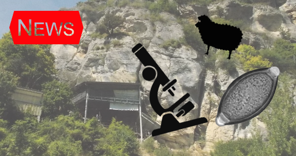 201609_site_paleoparasitologie