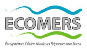 logo_ecomers