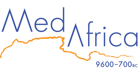 logo_medafrica