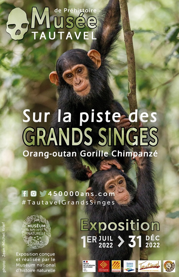 202207_tautavel_expo_grands_singes