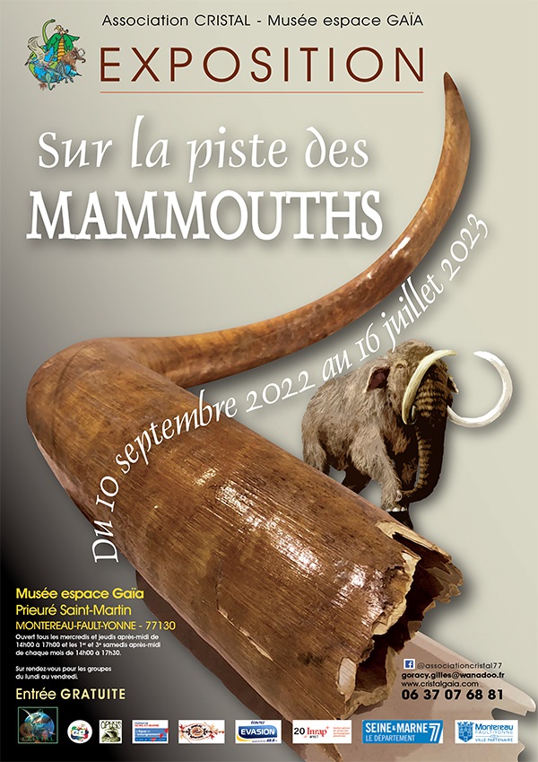 202211_montereau_expo_mammouths